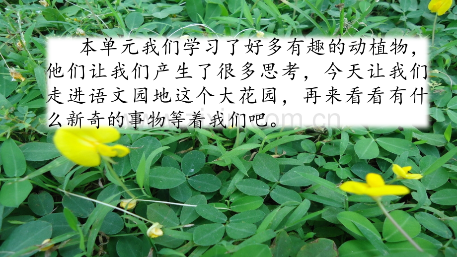 部编版五年级语文上册第一单元语文园地.ppt_第1页