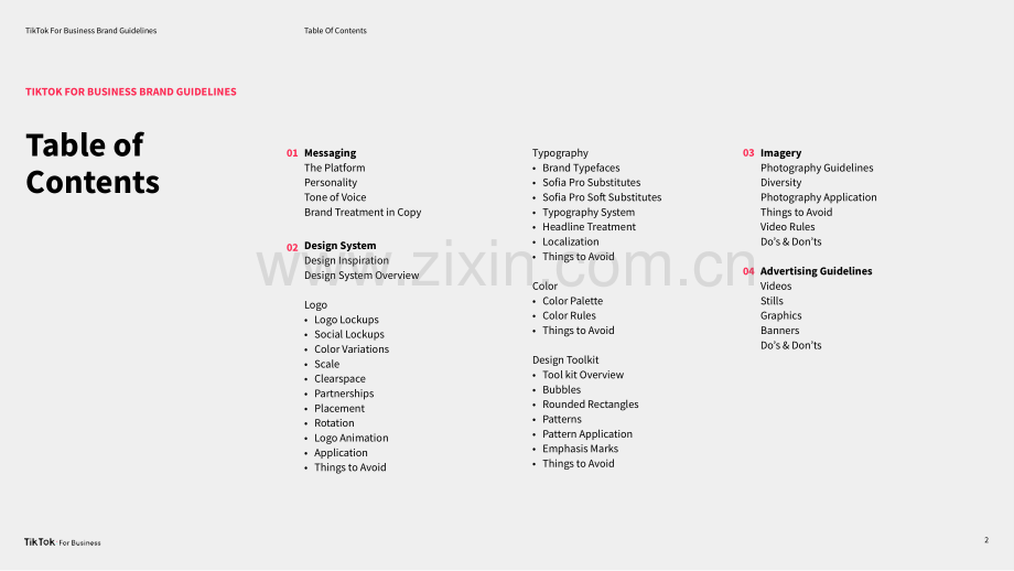 TIKTOK品牌手册.pdf_第2页