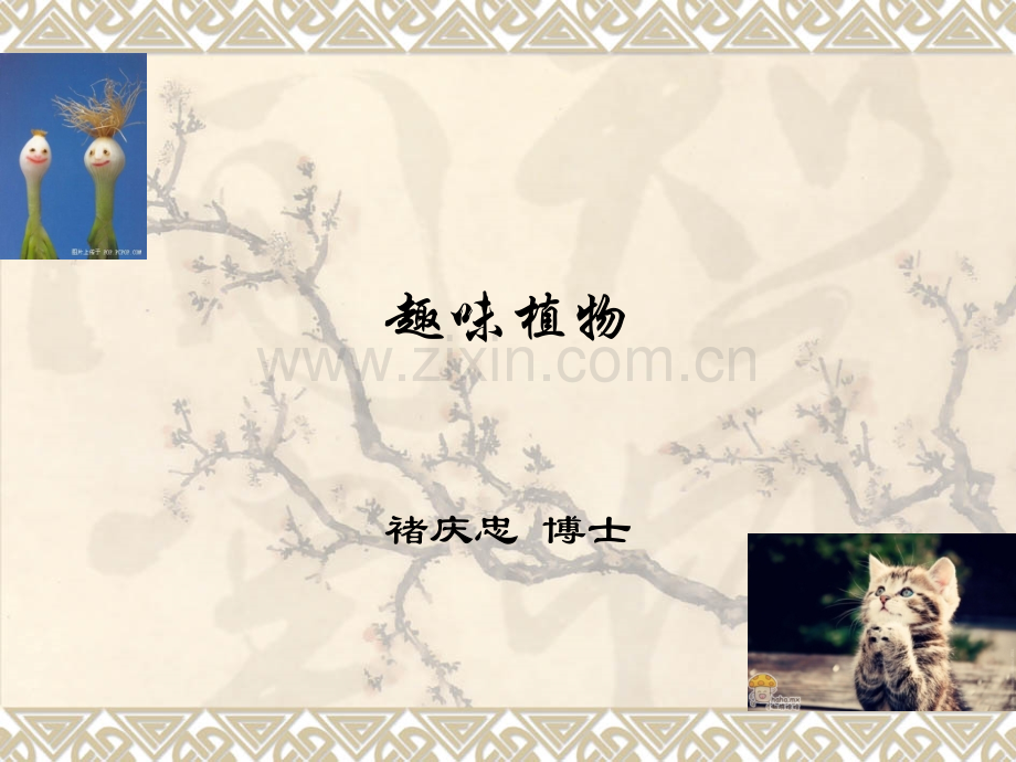 趣味植物(一).ppt_第1页