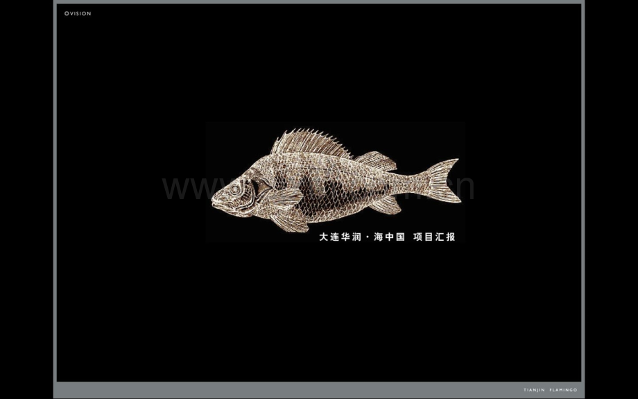 大连华润海中国项目汇报.pptx_第1页