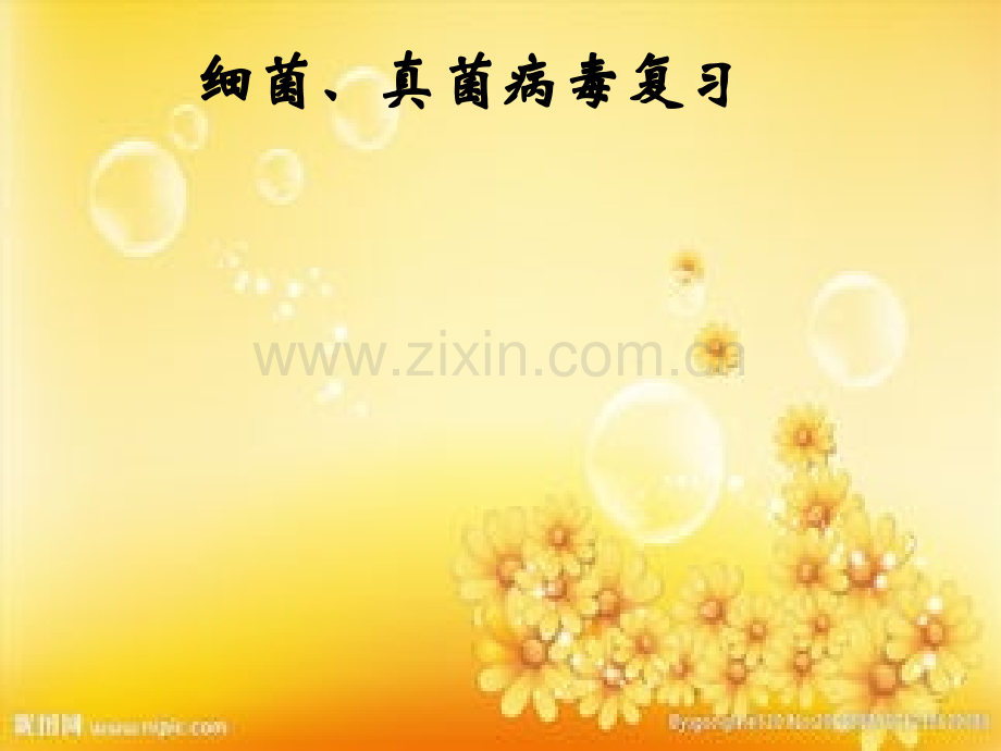 细菌、真菌、病毒(复习).ppt_第1页