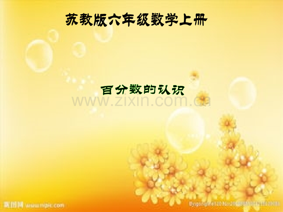 苏教版六上百分数的认识课件.ppt_第1页