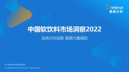 2022年中国软饮料市场洞察.pdf
