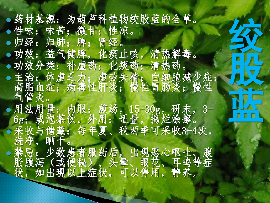 常见中草药介绍.pptx_第2页