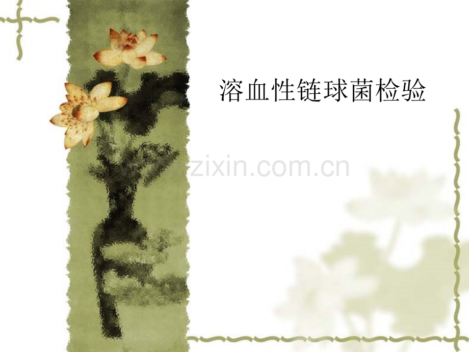 溶血性链球菌讲义.ppt_第1页