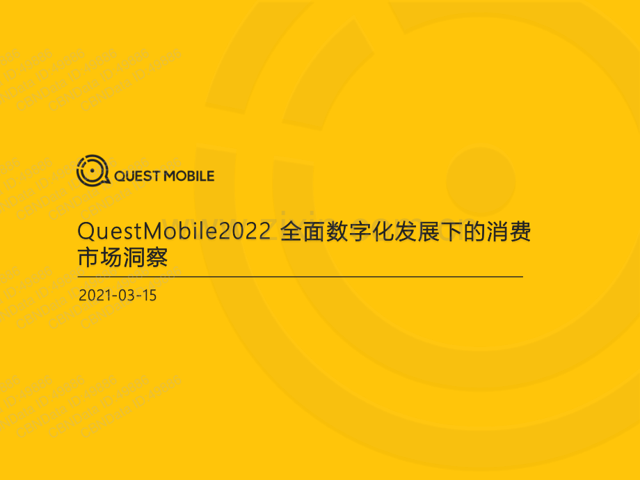 2022全面数字化发展下的消费市场洞察.pdf_第1页