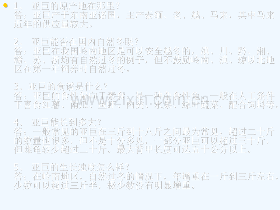 亚巨的饲养.pptx_第1页