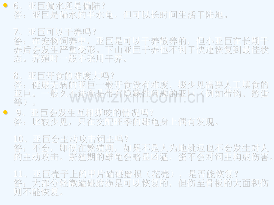 亚巨的饲养.pptx_第2页