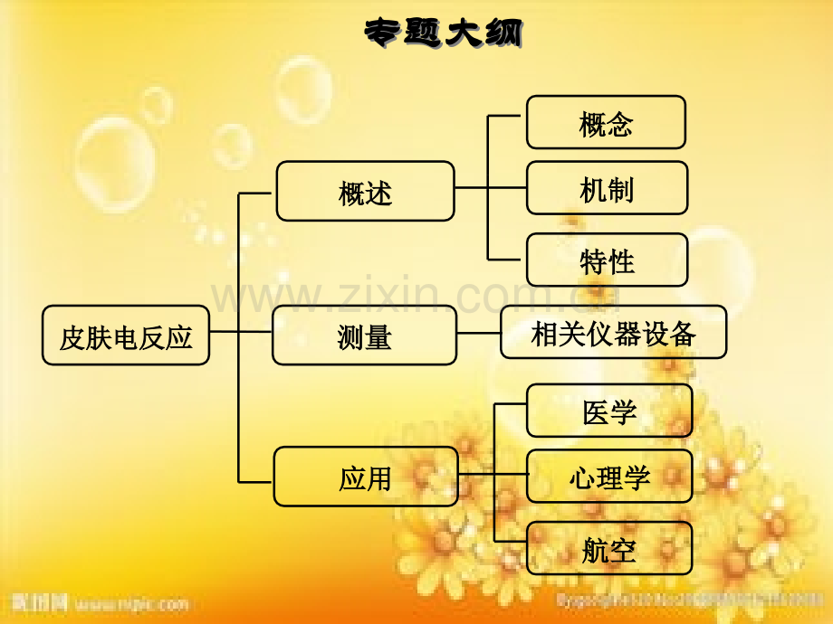 皮肤电的研究.ppt_第2页