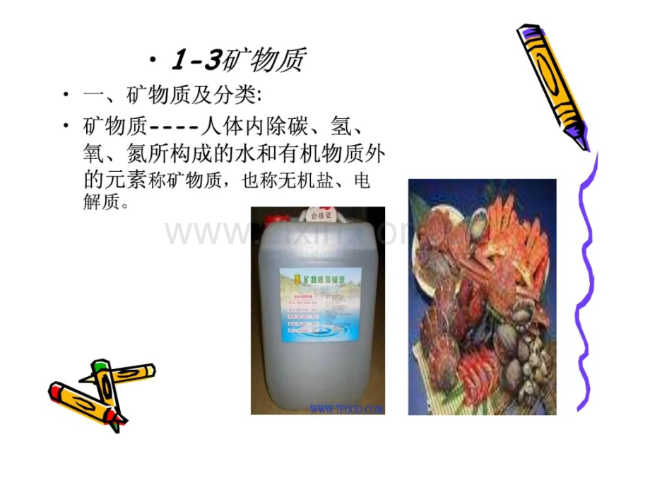 食品生化矿物质.pptx_第1页