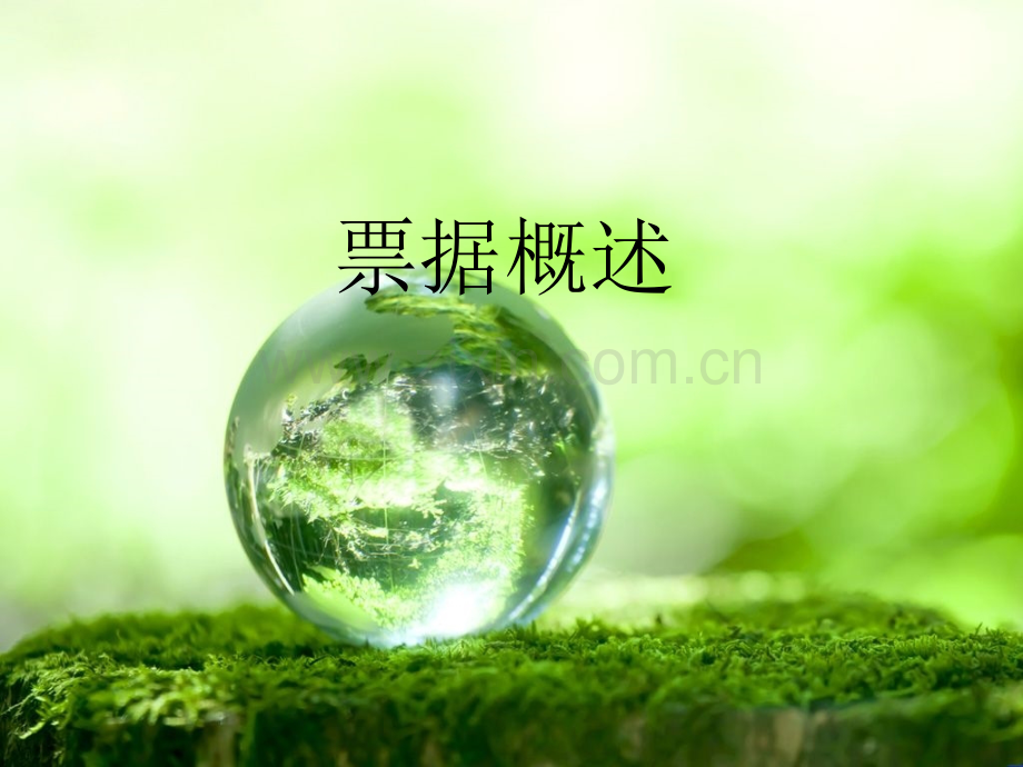 票据概述.ppt_第1页