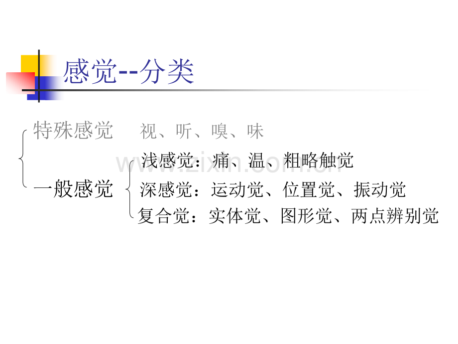 感觉运动反射.pptx_第1页