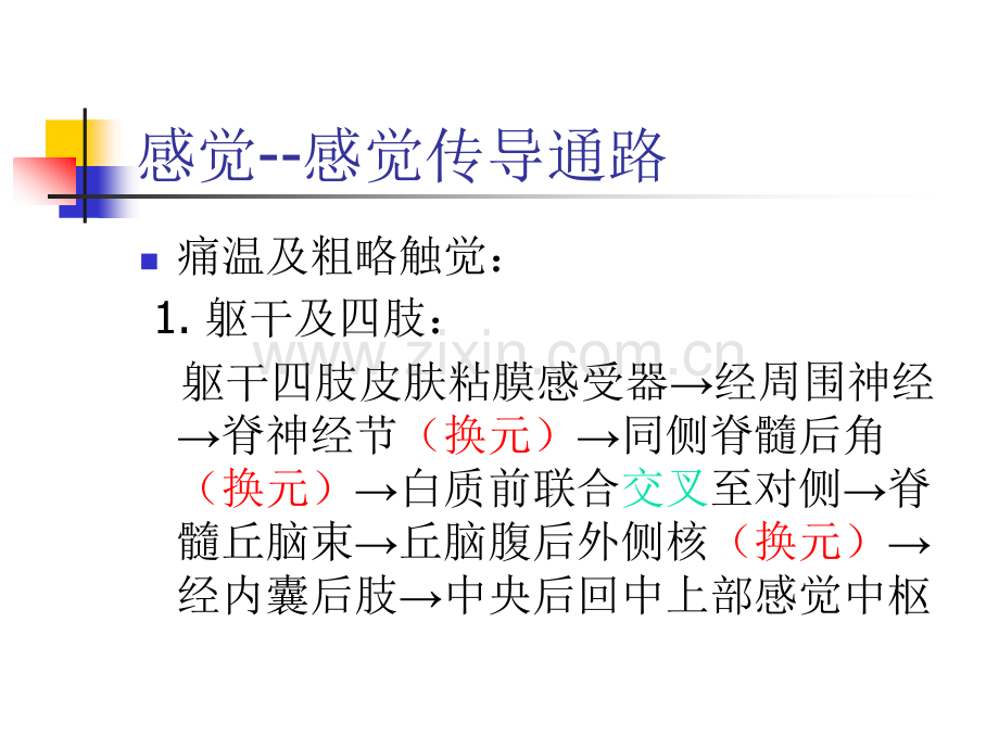 感觉运动反射.pptx_第2页