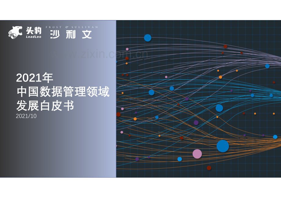 中国数据管理领域发展白皮书.pdf_第1页
