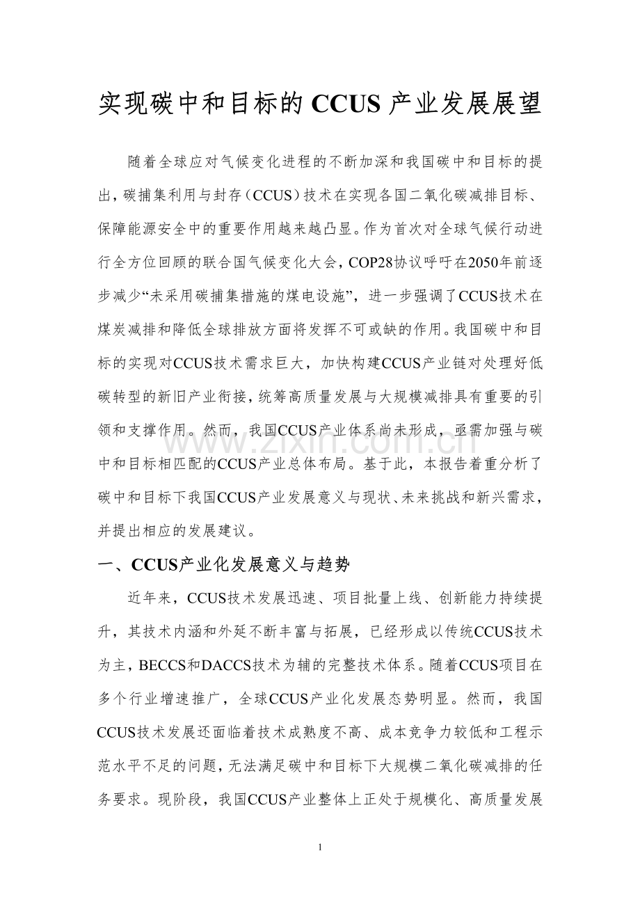 实现碳中和目标的CCUS产业发展展望.pdf_第2页