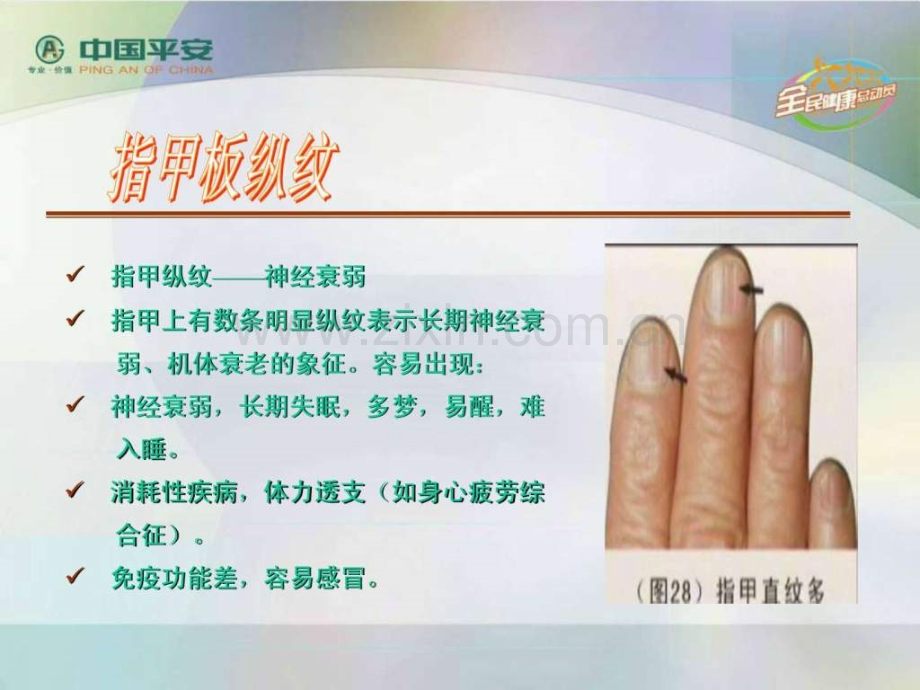 从手掌看健康状态.pptx_第2页