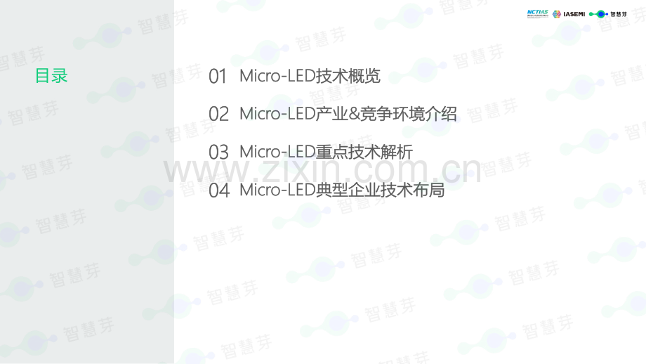 2023Micro-LED产业技术洞察白皮书.pdf_第2页