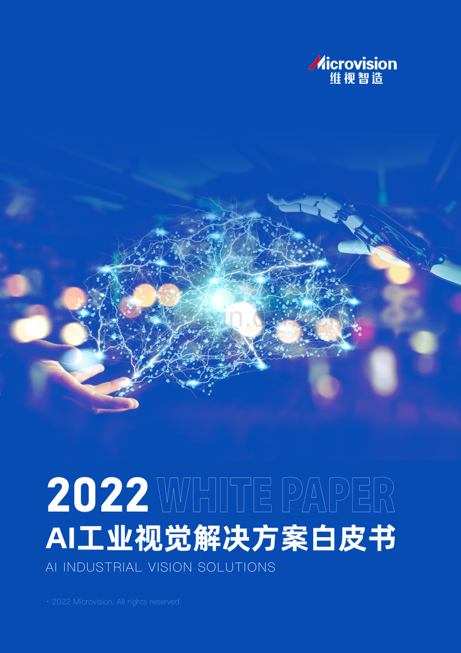 2022年AI工业视觉解决方案白皮书.pdf_第1页