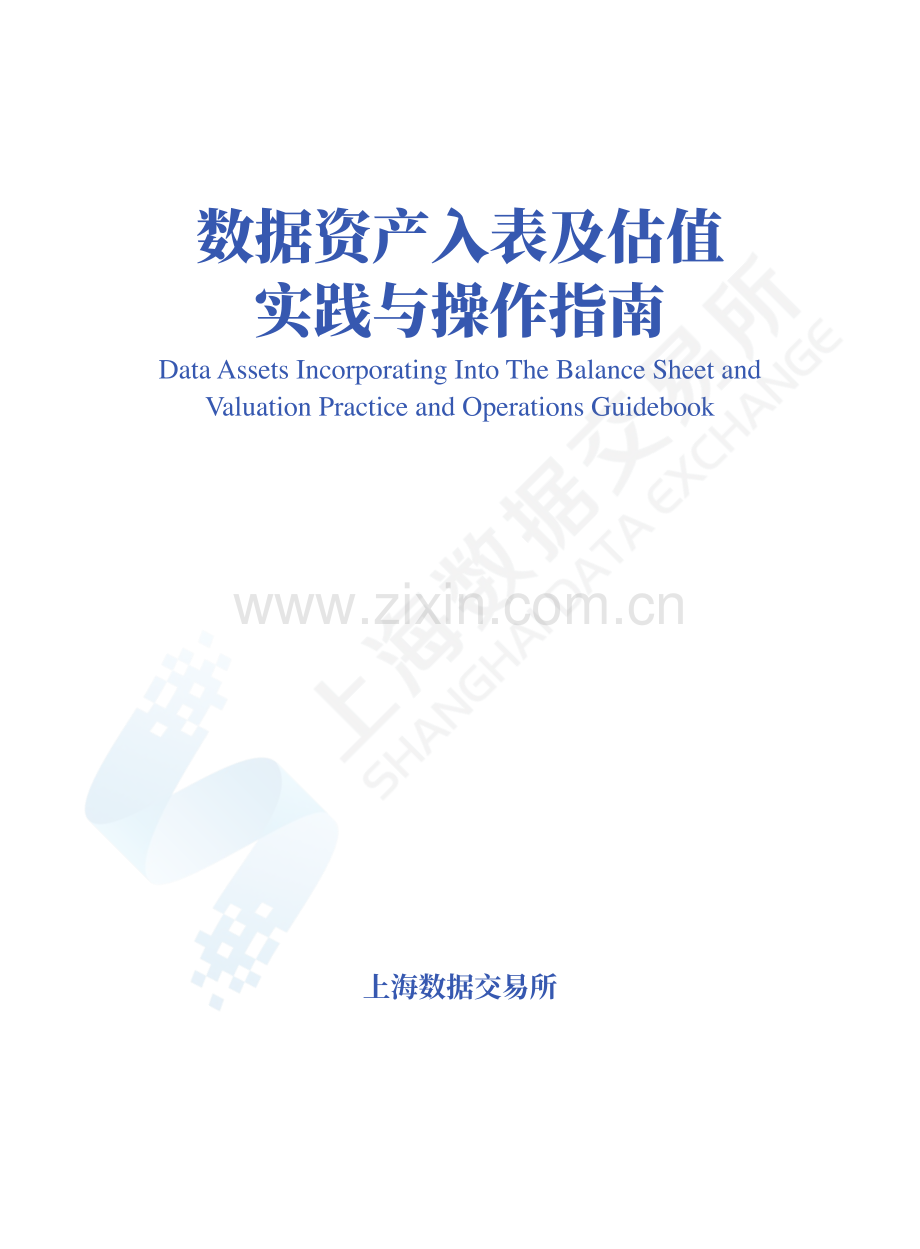 数据资产入表及估值实践与操作指南.pdf_第1页