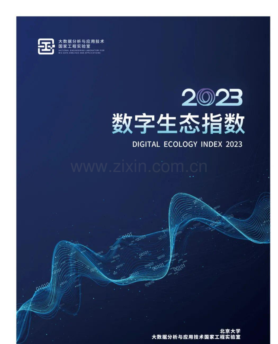 数字生态指数（2023）.pdf_第1页