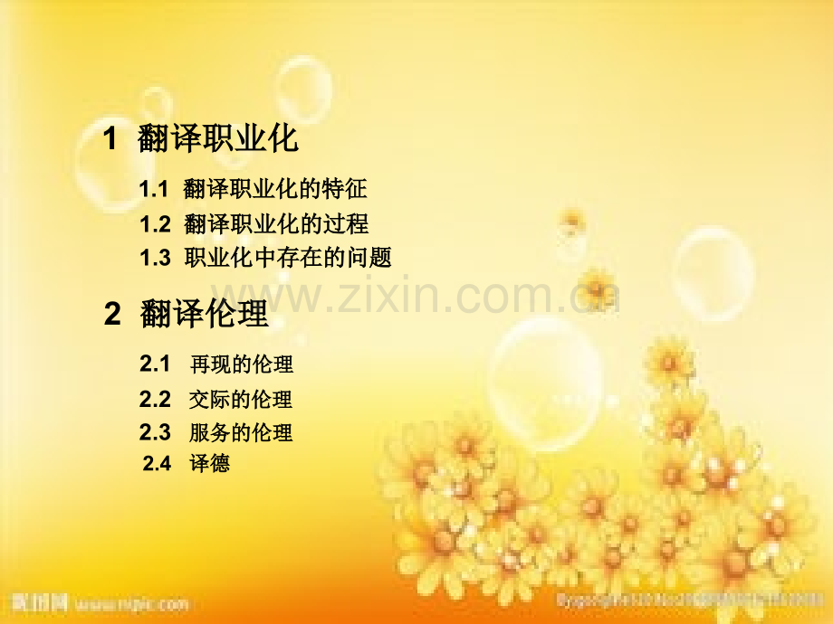 翻译职业化与翻译伦理.ppt_第2页