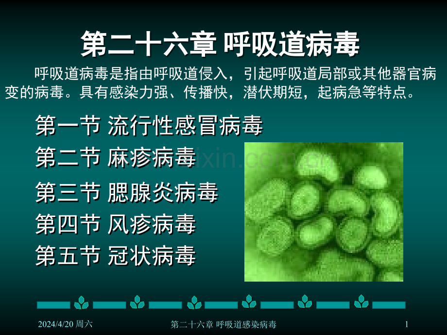 第二十六章呼吸道病毒.pptx_第1页