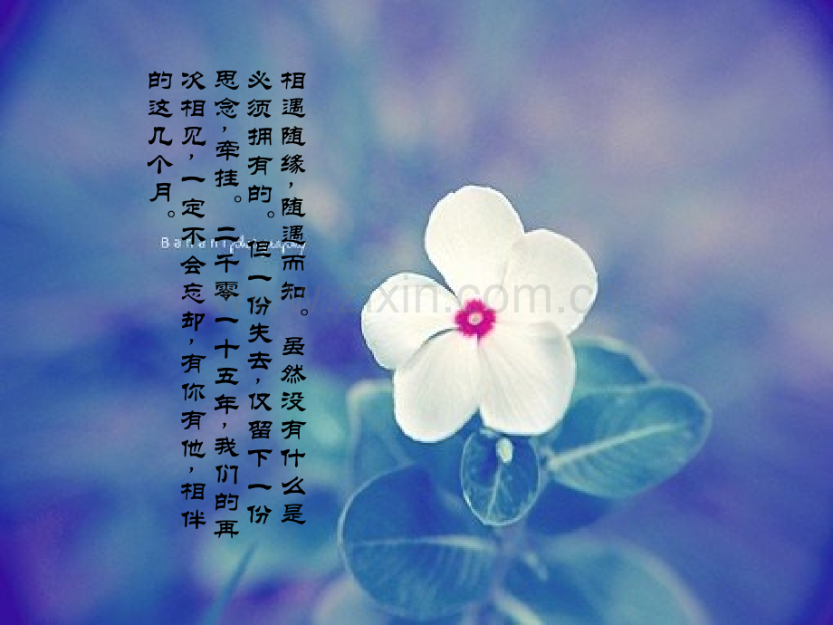 高一分班班会.ppt_第2页