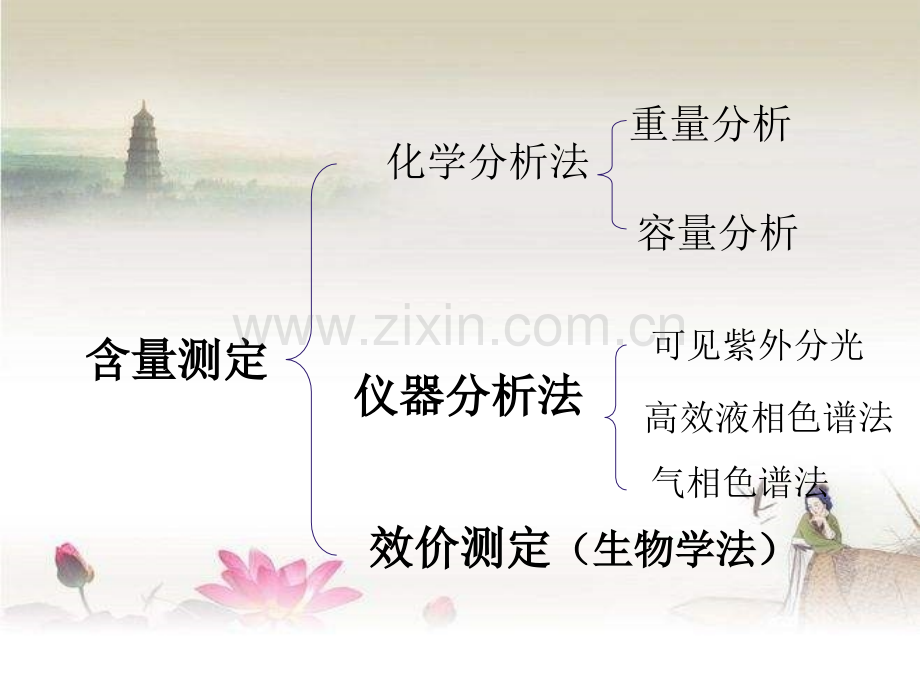 药物的含量测定方法.ppt_第2页