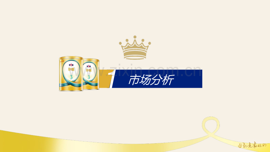 惠氏SMA珍蕴新品上市方案.pdf_第2页