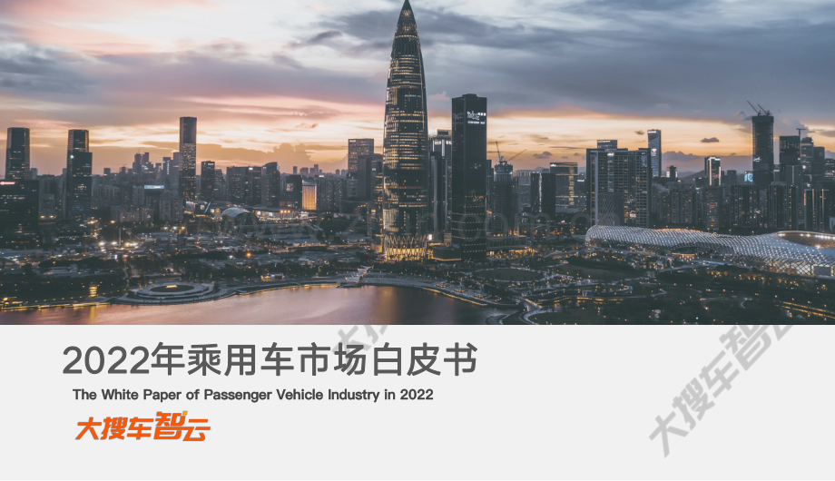 2022年乘用车市场白皮书.pdf_第1页