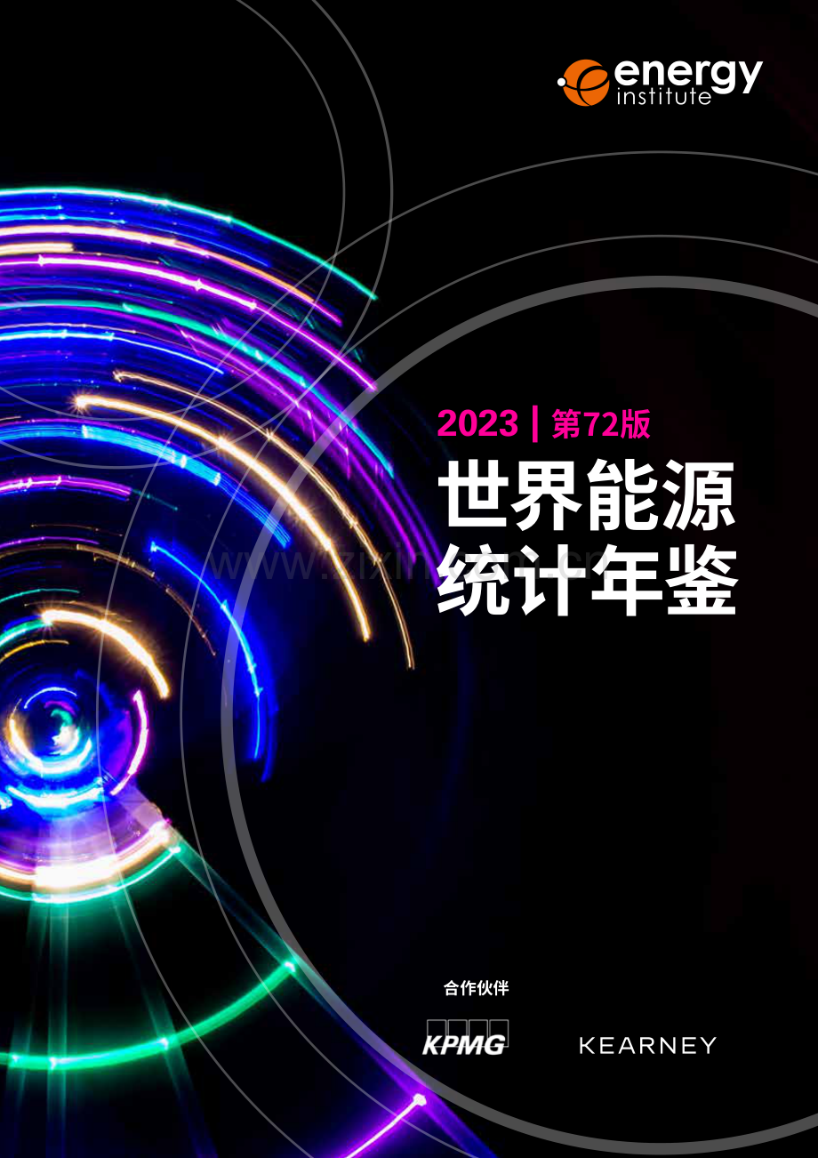 2023世界能源统计年鉴.pdf_第1页