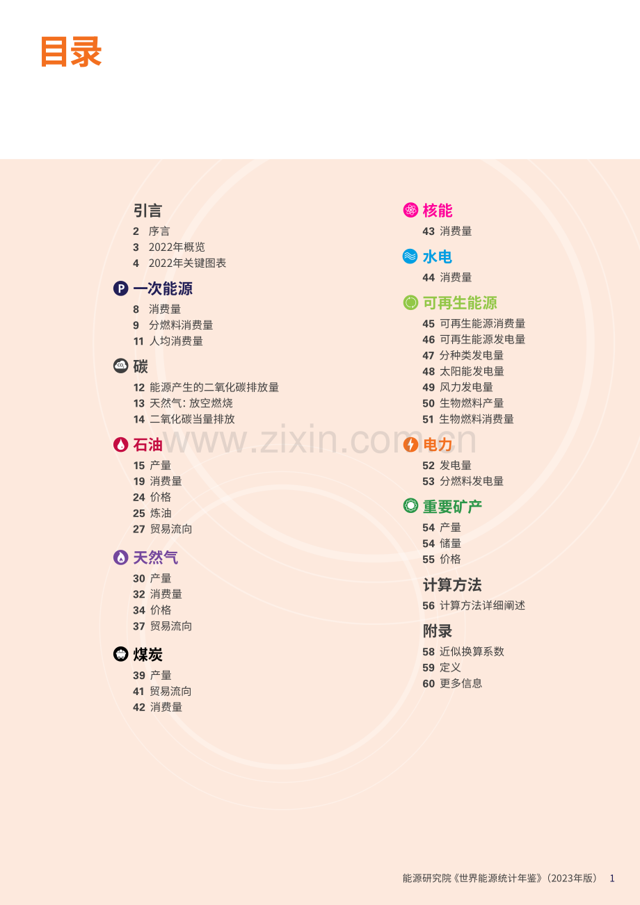2023世界能源统计年鉴.pdf_第2页
