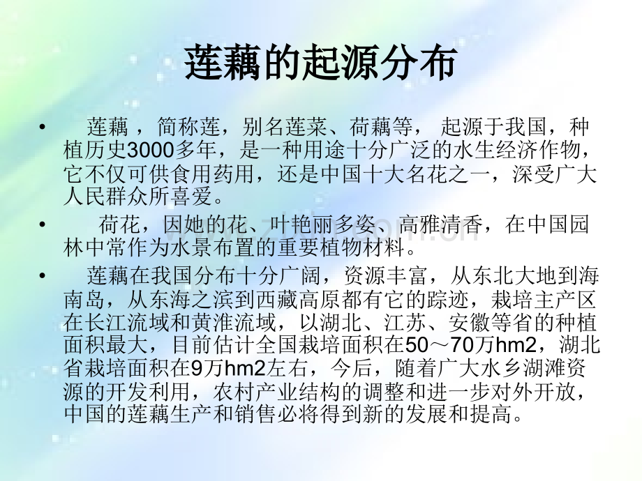 莲藕种植技术.ppt_第2页