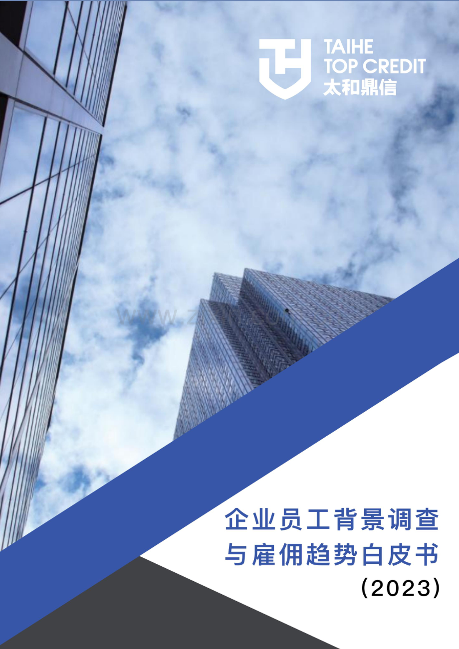 2023企业员工背景调查与雇佣白皮书.pdf_第1页