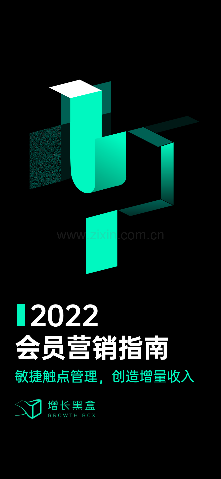 2022年会员营销指南.pdf_第1页
