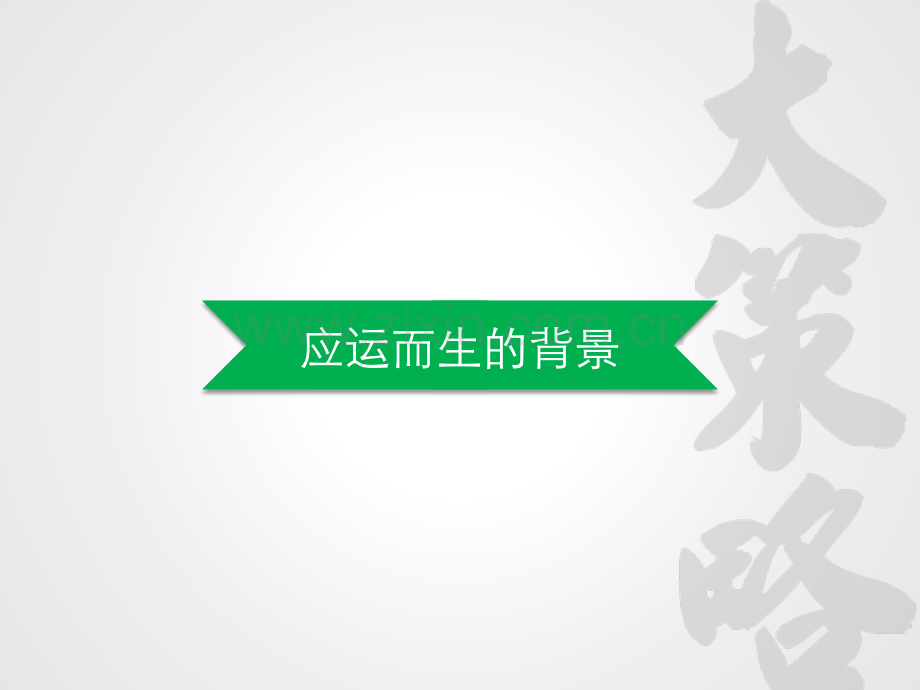 大策略应用蓝图.pdf_第2页