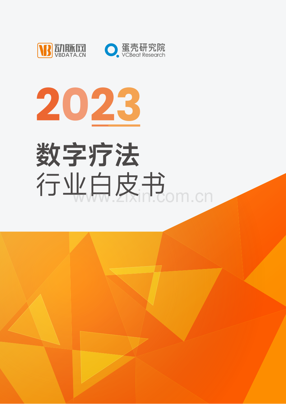 2023年数字疗法白皮书.pdf_第1页