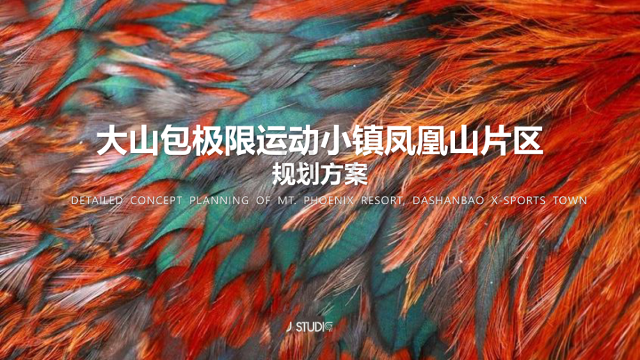 大包山温泉极限运动小镇规划方案.pdf_第1页
