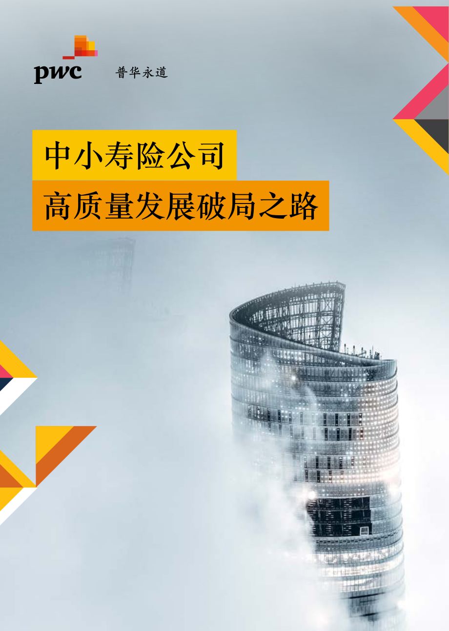 中小寿险公司高质量发展破局之路.pdf_第1页