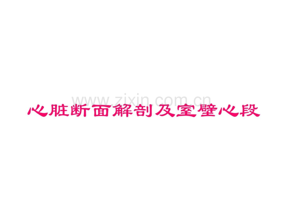 心脏超声科室讲座.pptx_第1页
