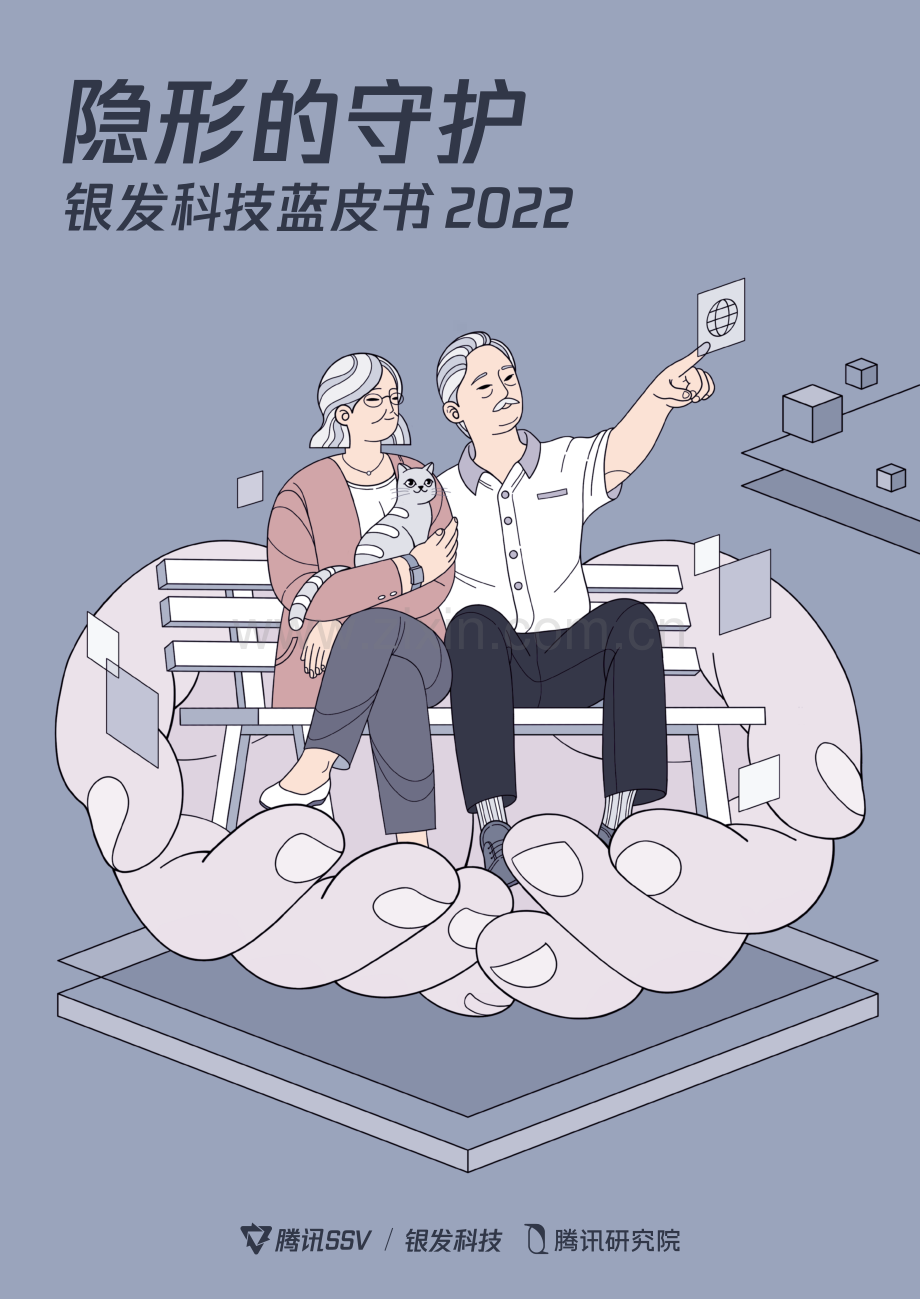2022年银发科技蓝皮书.pdf_第1页