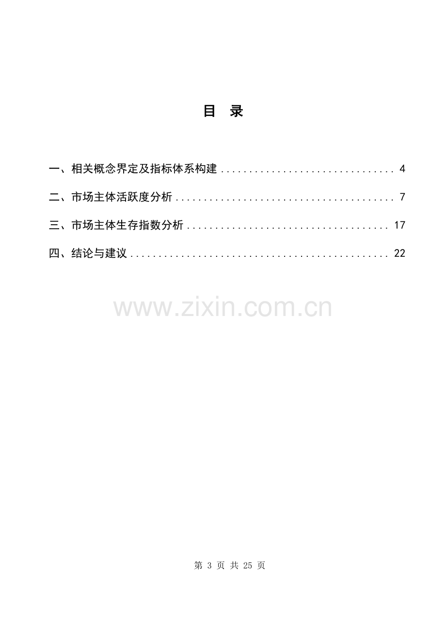 中国市场主体发展活力研究报告.pdf_第3页