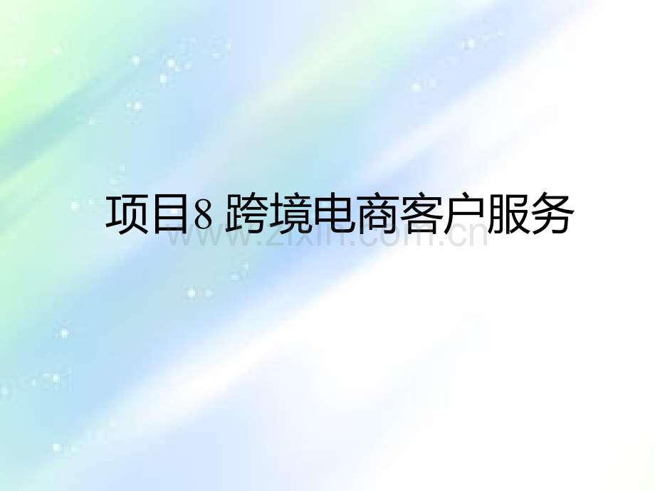 跨境电商客户服务.ppt_第1页