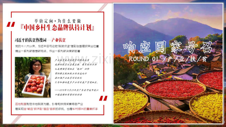中国乡村生态品牌扶持计划江西上饶项目框架.pdf_第3页