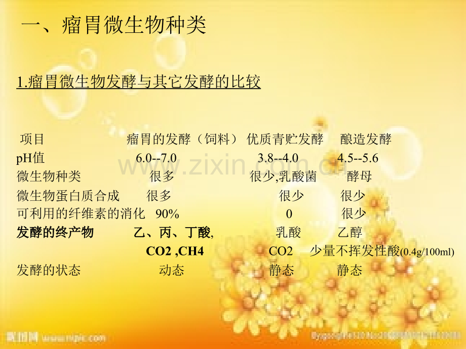 瘤胃微生物种类及分类.ppt_第2页