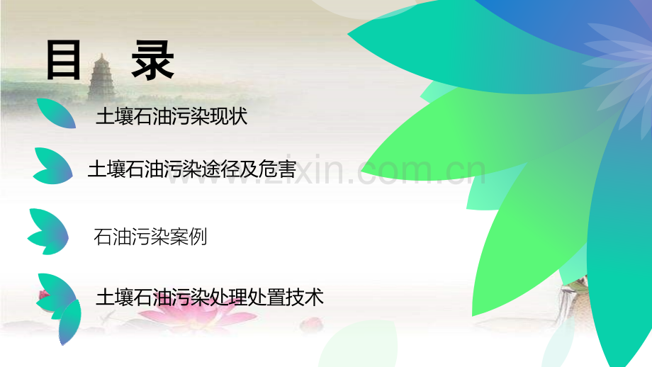 石油污染土壤.ppt_第2页