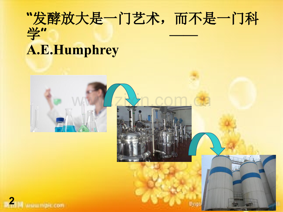 生物反应器的比拟放大.ppt_第2页