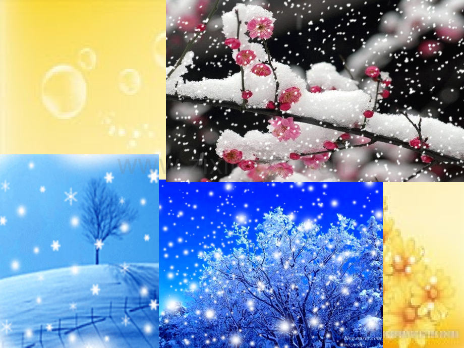 语文苏教版一年级上-小雪花.ppt_第2页