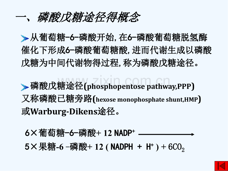 磷酸戊糖途径.pptx_第2页