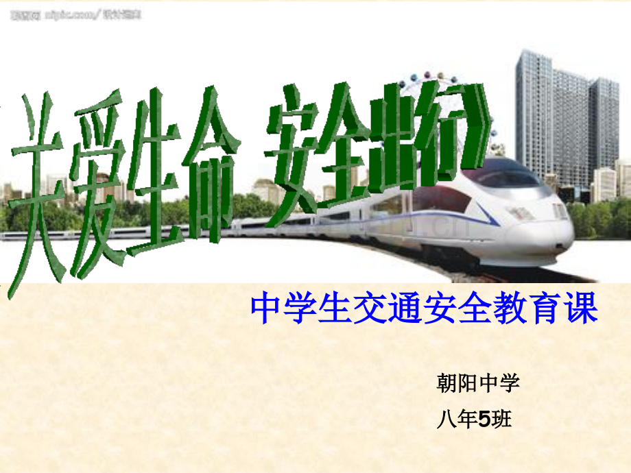 关爱生命安全出行.pptx_第1页